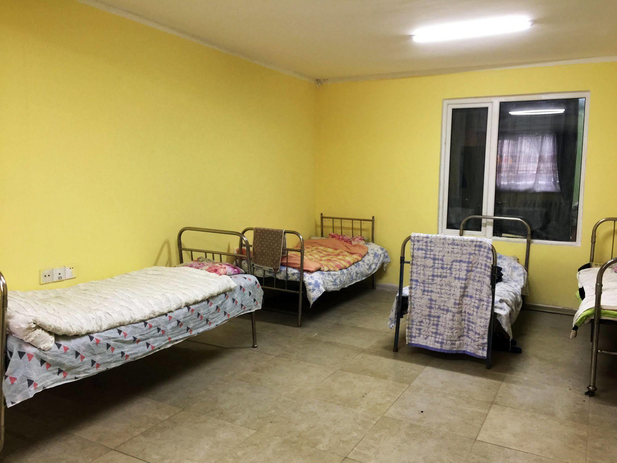 Travel Mongolia Guesthouse Ulaanbaatar Eksteriør billede